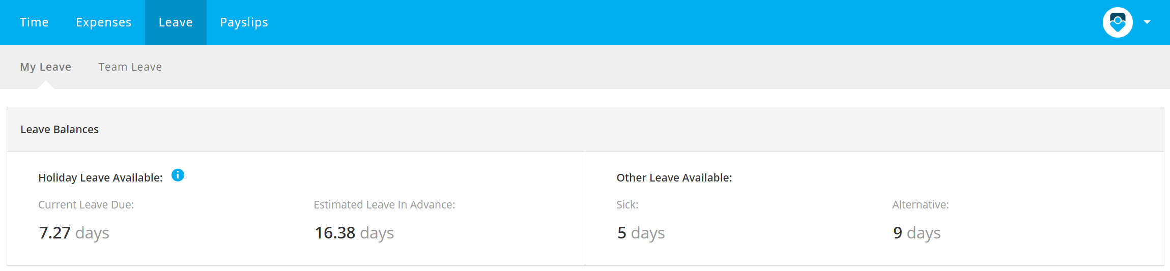 Leave_for_Employees_-_Portal_Leave_Balances.png